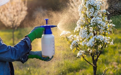 Не упустите эти решающие дни: уход за деревьями во время цветения, от которого зависит урожай