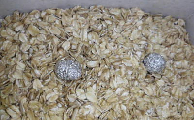 Фольга — лучший защитник крупы от насекомых: как защитить запасы и почему это работает