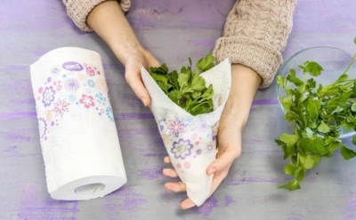 Если зелень вянет даже в холодильнике: как сохранить укроп и петрушку свежими на долгое время