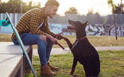 Собаки действительно могут «говорить»: где проходит граница между инстинктом и сознанием