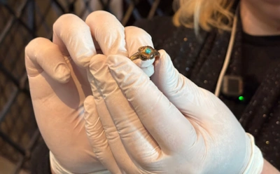 Саркофаг шведской королевы хранил сюрприз: под гнездом грызунов нашли уникальное украшение