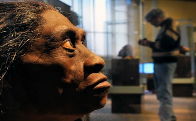 Куда исчезли миниатюрные люди Флореса: вот почему они покинули пещеру и не вернулись более 60 тыс. лет назад