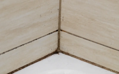 Плесень в межплиточных швах — как ее одолеть: это средство разрушит грибок — загляните в аптечку