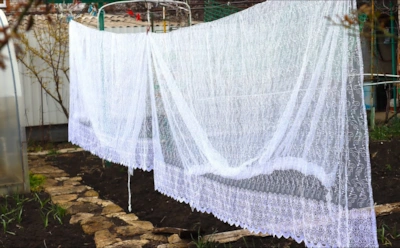 Тюль стал серым, хотя стираете его регулярно: добавьте это кухонное средство до запуска машинки