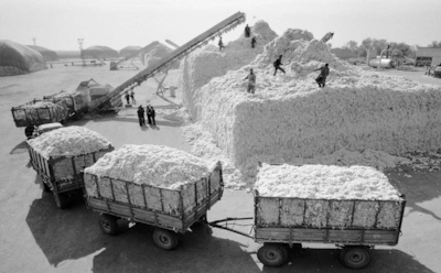 Эти республики СССР были самыми обеспеченными: условное советское равенство — где жили богаче