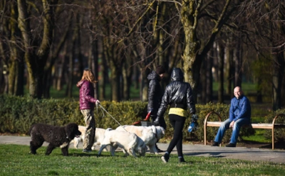 Вы не лечите животных, а губите их: почему таблетки для людей нельзя давать питомцам