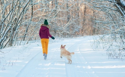Домашняя собака как источник бешенства: 3 стадии болезни, которые развиваются за считаные месяцы