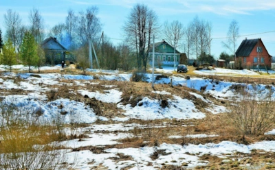 Первые дачные работы в марте: что важнее всего сделать в начале сезона — нет, речь не про грядки
