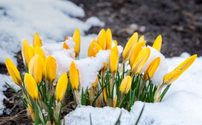 Каким будет лето-2026 — покажет март: народные приметы о погоде и урожае — работает не первый год