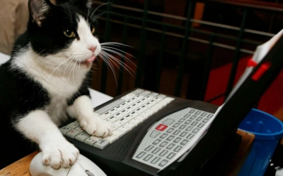 Как отличить фальшивые отзывы от настоящих: главные признаки заказных комментариев