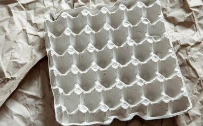 Не выбрасывайте яичные лотки: как с пользой использовать их в огороде и дома