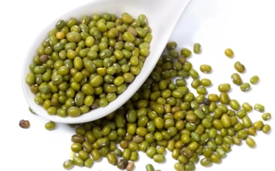 Рекордный белок в маленьких бобах: как мунг снижают плохой холестерин и поддерживают сердце