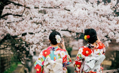 Мартовские традиции в разных странах: от сакуры до красок Холи — как встречают в мире весну