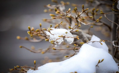 Когда антидепрессанты действительно нужны: где проходит опасная граница и почему грусть — еще не повод