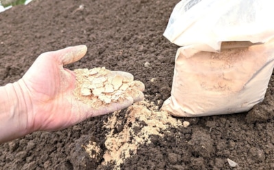 Земля на грядках оживет без навоза: эта смесь из 2 компонентов улучшает почву и отпугивает вредителей