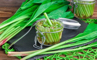 Черемша пахнет чесноком не случайно: почему она считается одной из самых сильных весенних трав