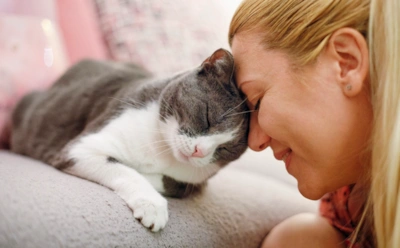 Как научиться общаться с кошкой: эти жесты и интонации питомцы понимают лучше слов