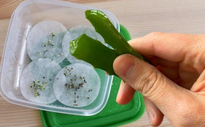 Опытные дачники делают это с семенами: способ, который ускорит появление всходов рассады