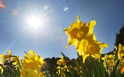 Почему глаза сильнее всего страдают в марте: как весеннее солнце может действовать на зрение