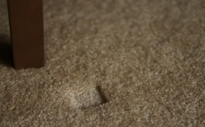 Если ковер примялся под мебелью: этот способ со льдом вернет объем ворса без химчистки