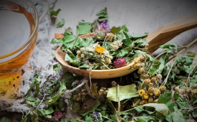 Травяные сборы могут серьезно навредить: что происходит с почками при «натуральном» лечении