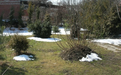 Не спешите браться за лопату: что нужно сделать с почвой весной, чтобы не испортить ее структуру