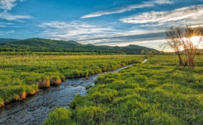 Какая погода ждет нас в первом летнем месяце: прогнозы на июнь 2026-го