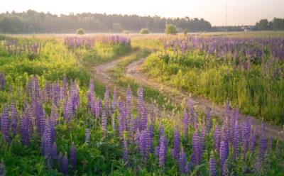 Жара не за горами? Какая погода ожидается летом 2026-го
