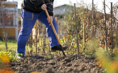 Если почва со временем превратилась в бетон: этот минерал вернет земле воздух и вдохнет в нее жизнь