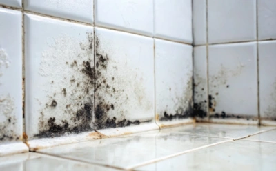 Черная плесень не боится тряпки: как избавиться от грибка в ванной — раз и навсегда