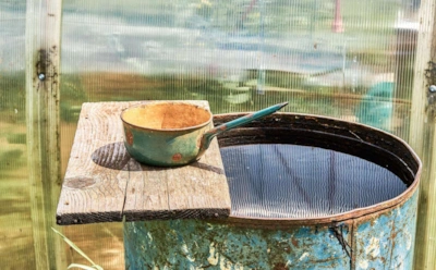 Одна бочка спасет рассаду в теплице: простой способ удержать тепло при резких перепадах температуры