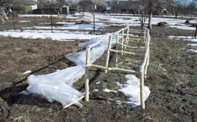 Эти апрельские ошибки губят будущий урожай: что нельзя делать в огороде сразу после схода снега