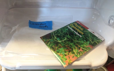 Никогда не храните семена в этом месте: лучшие и худшие локации в квартире для посадочного материала