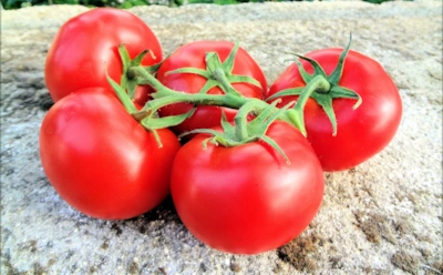 О чем говорит цвет помидора: как оттенок томата определяет его состав и действие на организм