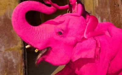 Боня требует наказать знаменитого фотографа Юлию Бурулеву за смерть слонихи