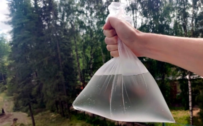 Как пакет в теплице меняет поведение вредителей: метод простой, но действует на все 100%