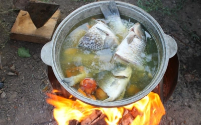 Археологи нашли в Подмосковье следы древнего рецепта: чем уха того времени отличалась от современной