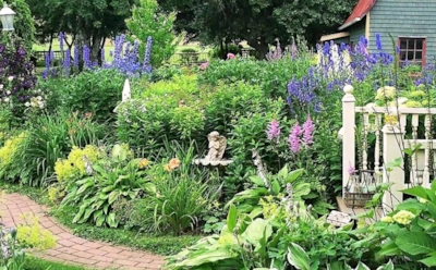 Почему картошка уходит с огородов: как красота и эстетика вытесняют привычные грядки