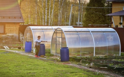 Такие теплицы служат годами: почему дачники отказываются от поликарбоната в пользу ПЭТ
