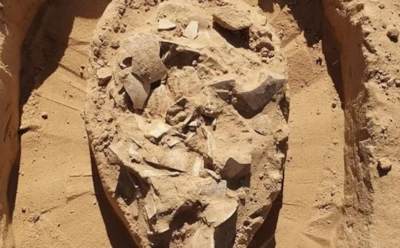 Эти яйца пролежали 7000 лет: находка археологов у костра раскрыла рацион кочевников пустыни