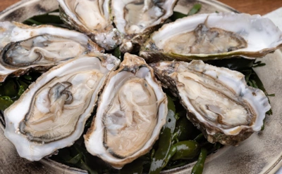 Секрет прочного бетона из океана: как устрицы способны сделать материал в разы устойчивее к трещинам