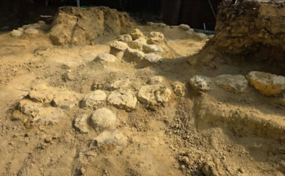 Франция скрывала это так много лет: ученые обнаружили масштабные кладки яиц динозавров