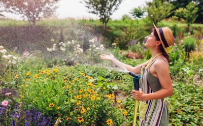 Эти многолетники могут вас удивить: сорта, которые зацветают уже в первый сезон, и какие условия им нужны