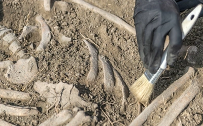 Эти европейцы исчезли навсегда: что стерло целые сообщества Европы и кто занял их место