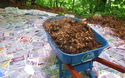 Секрет крупных луковиц раскрыт: как обычные газеты меняют структуру почвы и прокачивают урожай