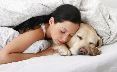 Если спите с питомцем в одной постели: как это влияет на сон и где проходит граница между пользой и вредом