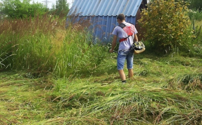 Как преобразить заброшенный участок: пошаговый план — за один сезон от хаоса не останется и следа
