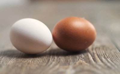 Почему коричневые яйца дороже белых: действительно ли цвет скорлупы определяет качество