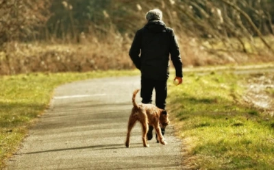 Миф о собачьей слюне разрушен: почему зализывание ран не только не лечит, но и несет опасность