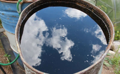 Вода в садовой бочке перестанет цвести: хитрости дачников, которые сохранят свежесть воды даже в жару